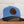 MN State Seal Snapback