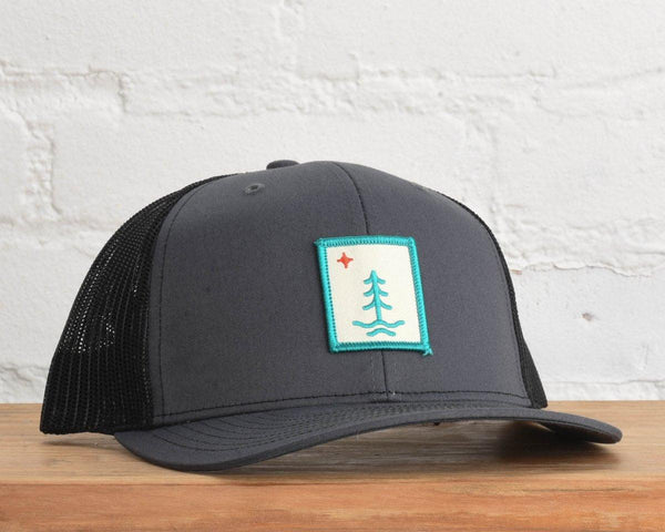 Singletree Lane Snapback - sota clothing